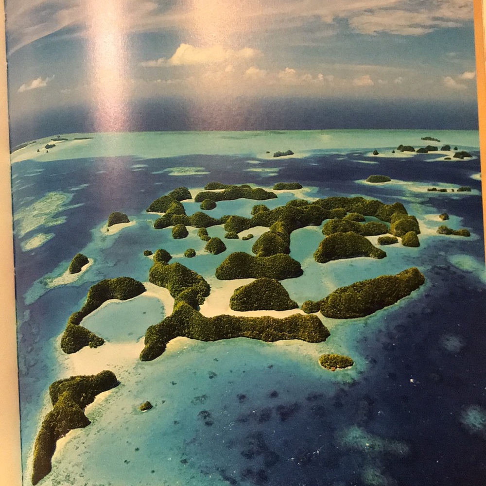 Nature Book - Picture 6 of 11